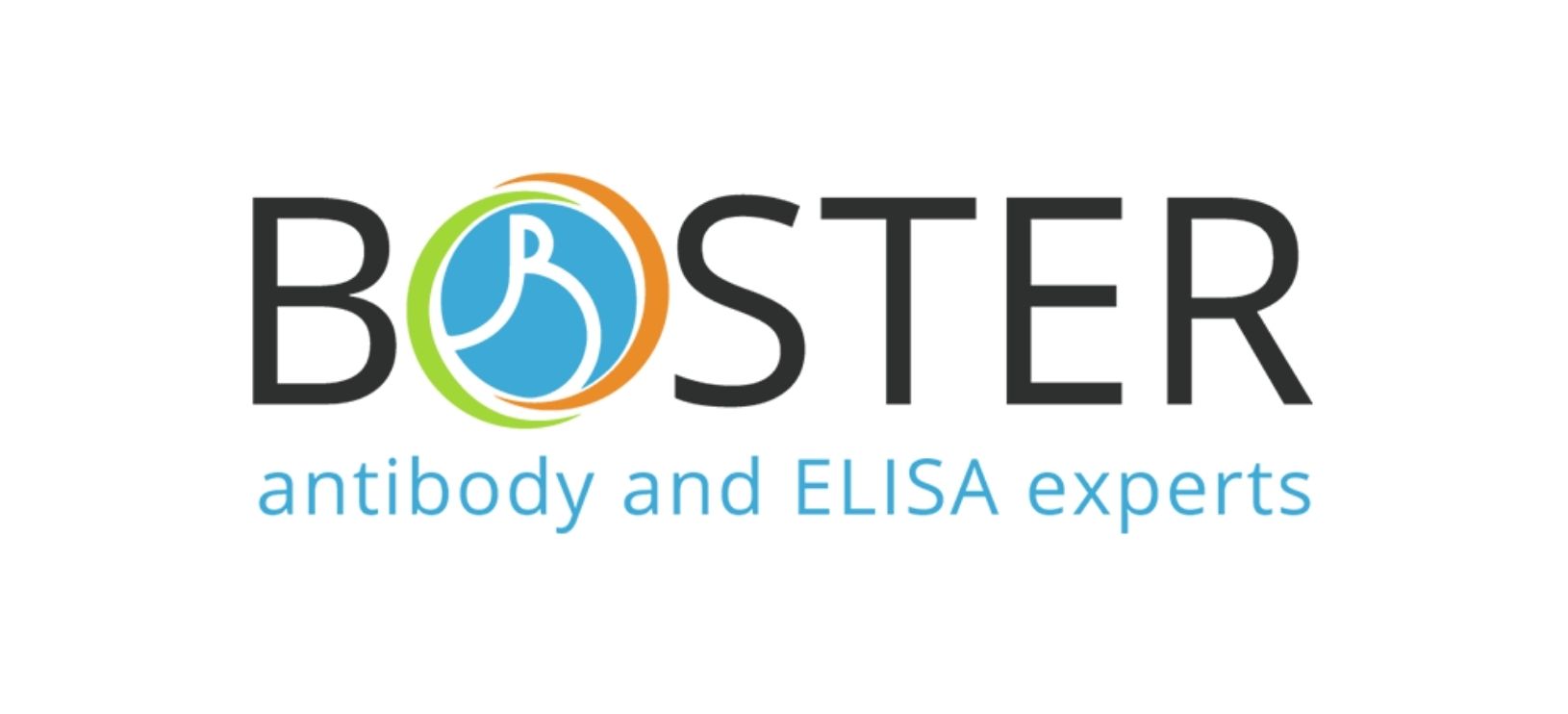 Logo 7